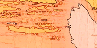 dot_clear.gif (807 bytes)