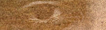 dot_clear.gif (807 bytes)