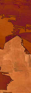 dot_clear.gif (807 bytes)