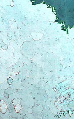 dot_clear.gif (807 bytes)